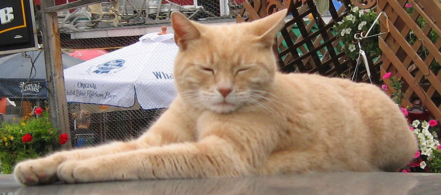 Stubbs